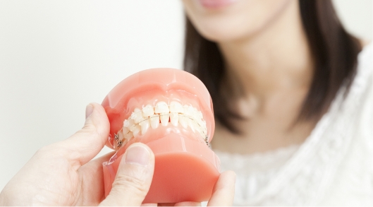 装置の種類・料金表